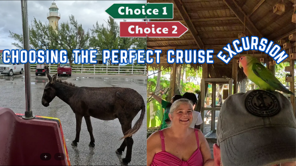 How to Book the Perfect Cruise Excursion: Tips to Save Money & Maximize Fun! #cruising #carnival